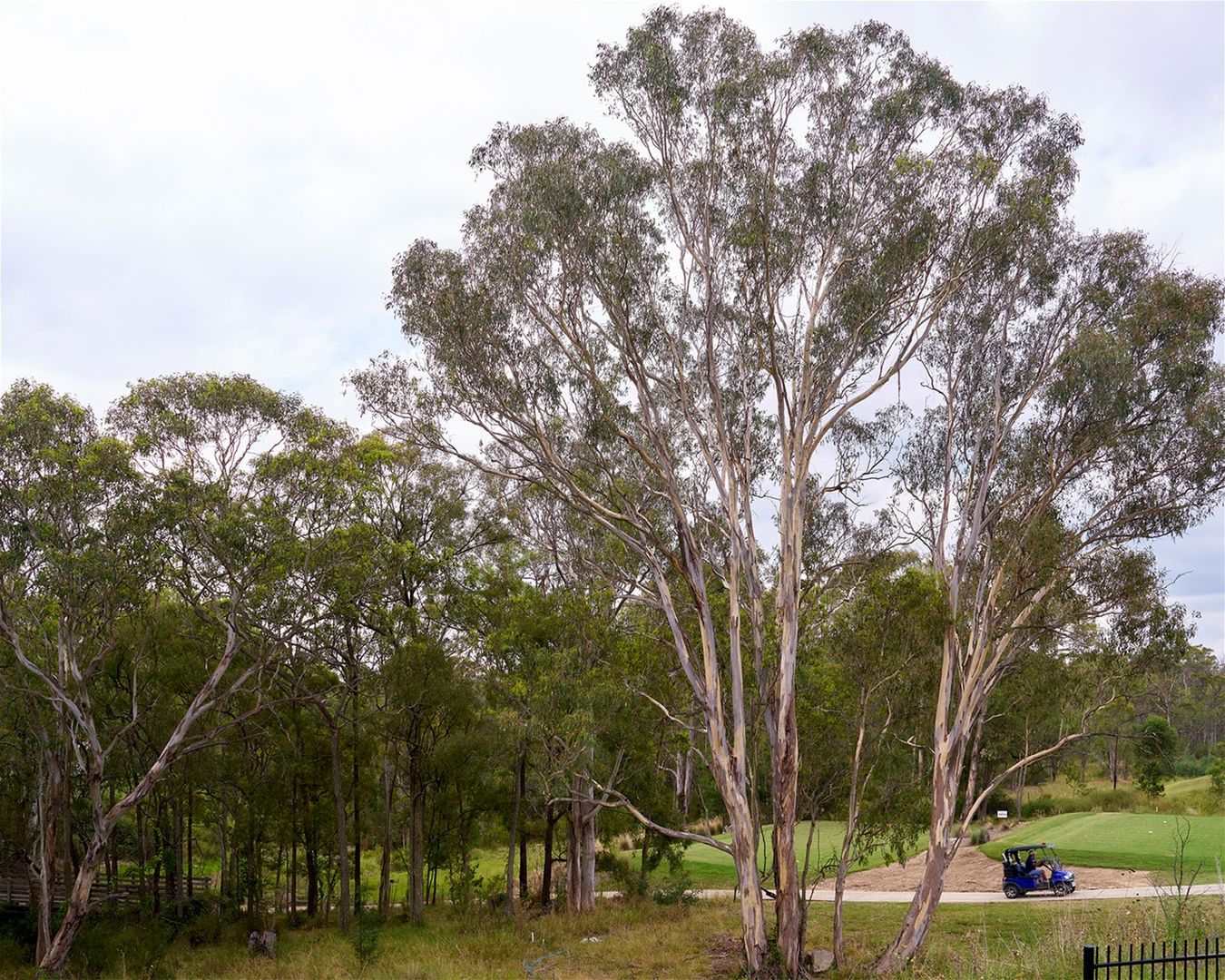 Lot 201 Gifford Lane, Wilton NSW 2571 Domain