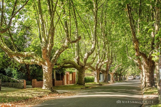 Picture of 2/13 Cyril Street, BOX HILL SOUTH VIC 3128