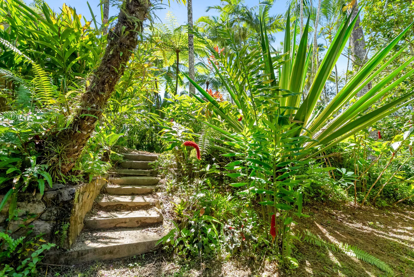 Additional image 17 of 27 Warril Drive, Kuranda QLD 4881