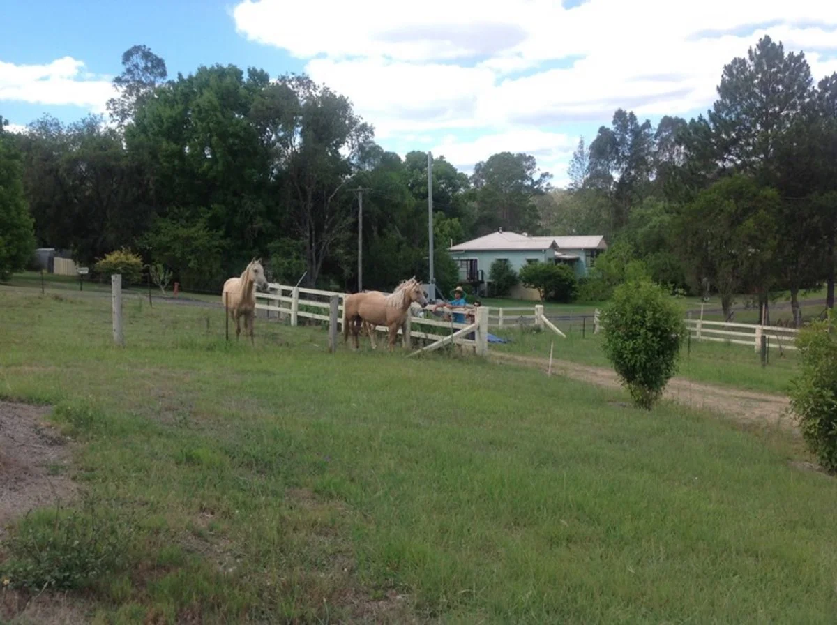 Additional image 30 of 37 Dyraaba Street, Bonalbo NSW 2469