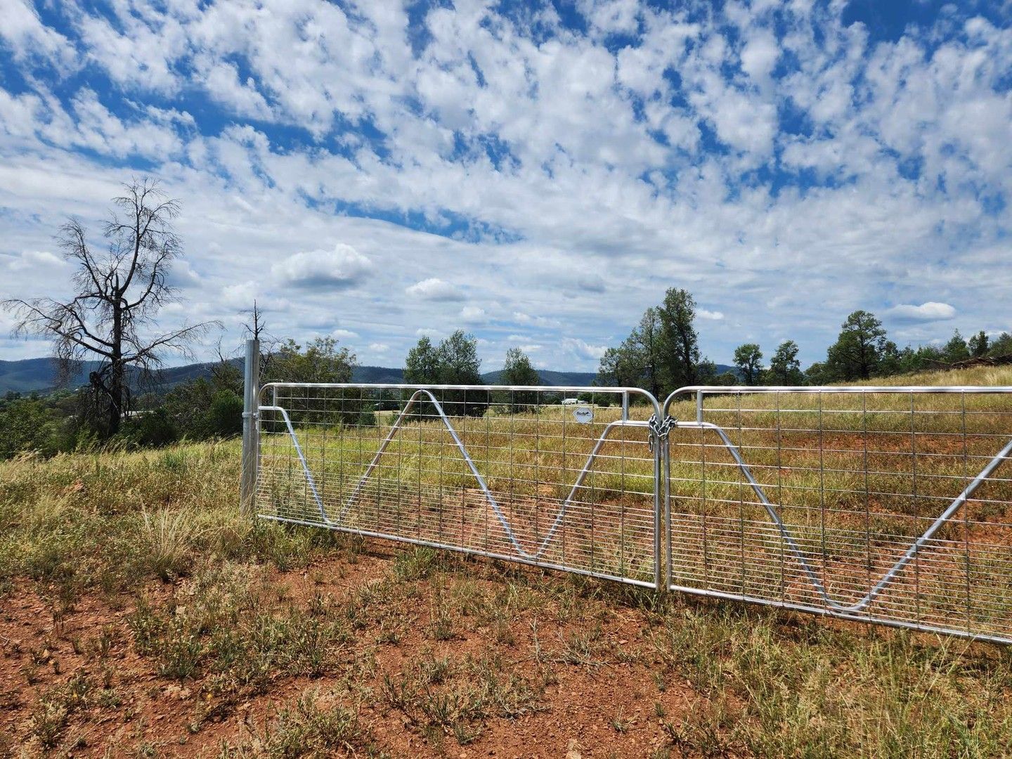 Vacant land in 13 Narrabri Road, BINGARA NSW, 2404