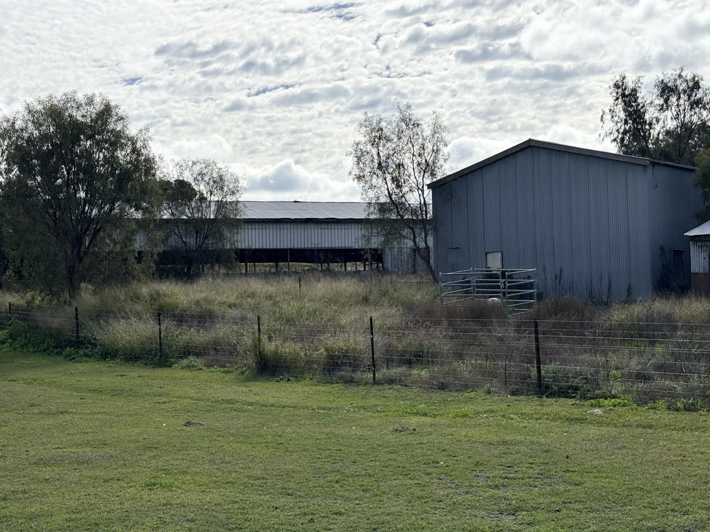 Image 20
