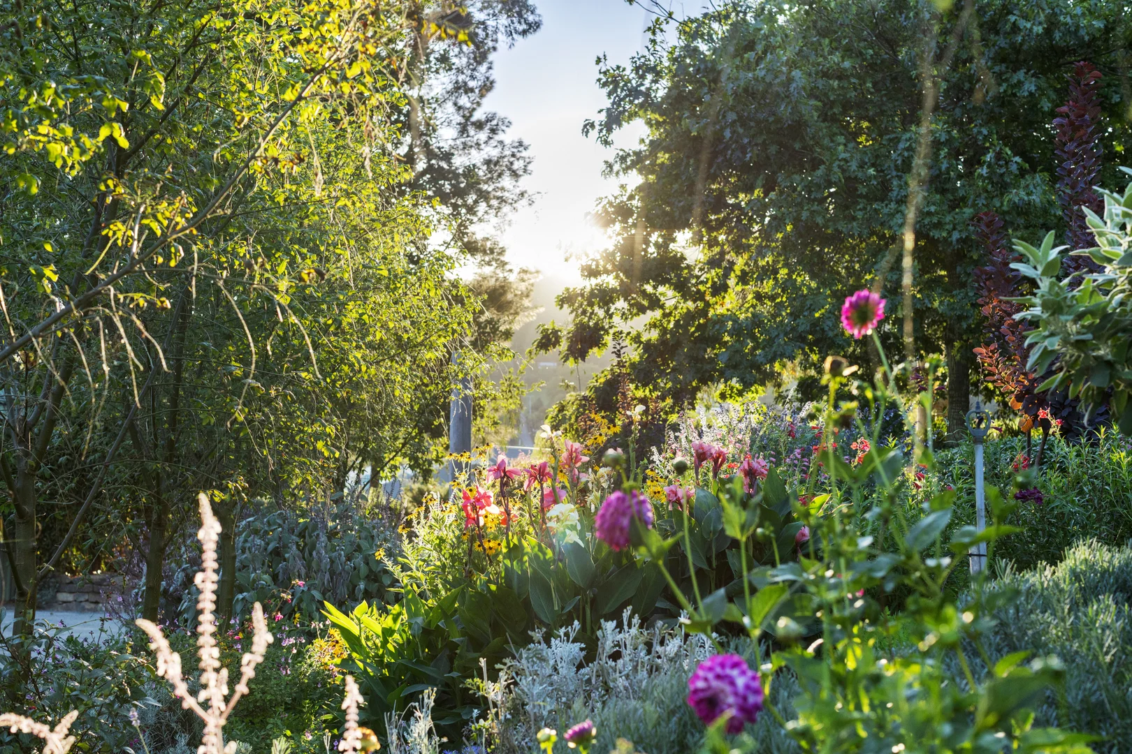 Additional image 15 of 11 McCarthy Road, Monbulk VIC 3793