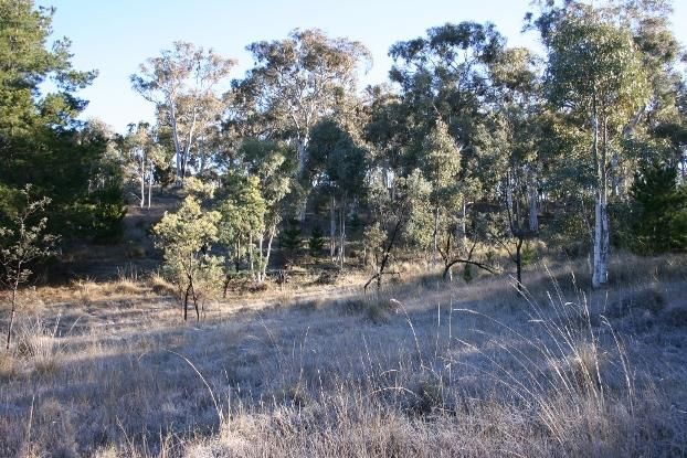 Lot 5 Hideaway Place - REDUCED BY $20K, BYWONG NSW 2621, Image 2
