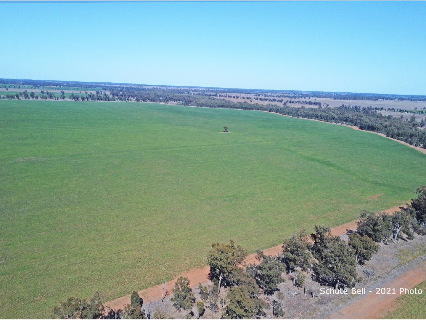 325 Tralee Lane, Peak Hill NSW 2869 House for Sale Domain