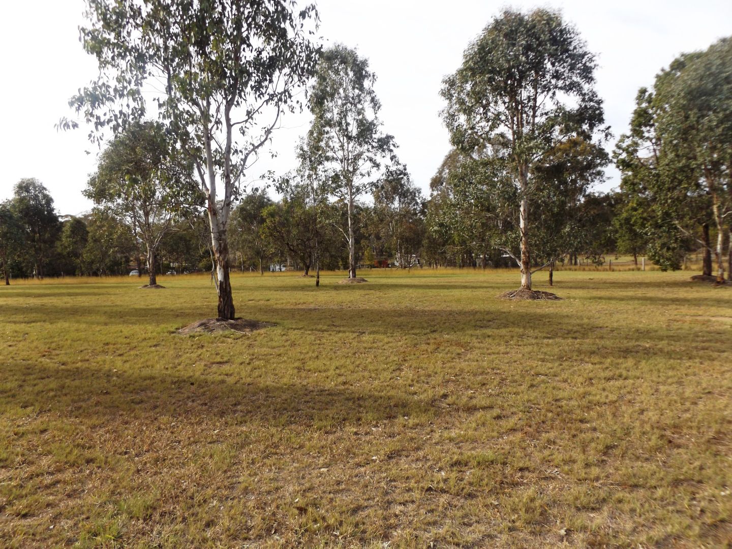 17 Birch, Wattle Camp QLD 4615, Image 2