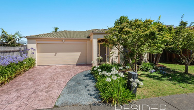 Picture of 3 St Martins Place, SOUTH MORANG VIC 3752