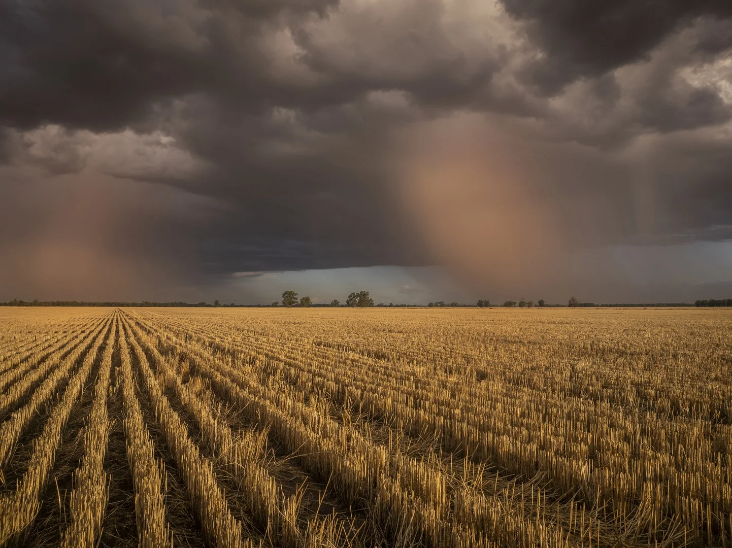 1048 Wyanga Road, Narromine NSW 2821