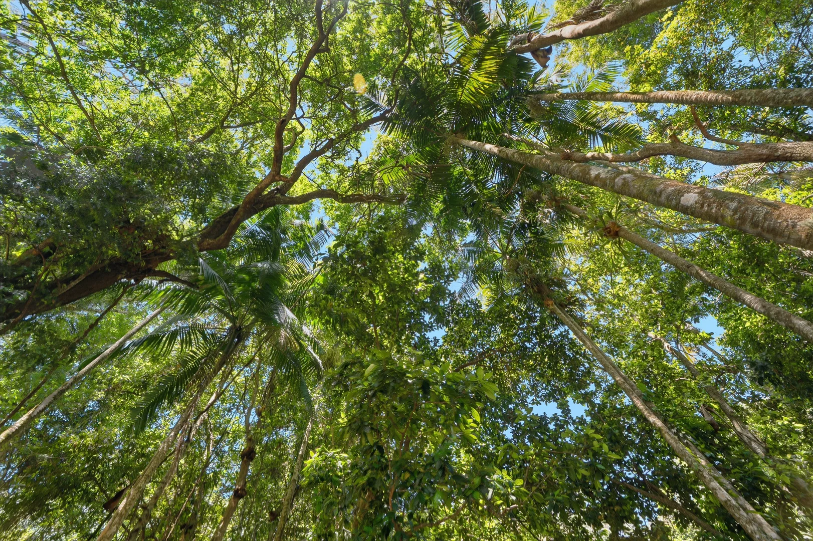 Image 33