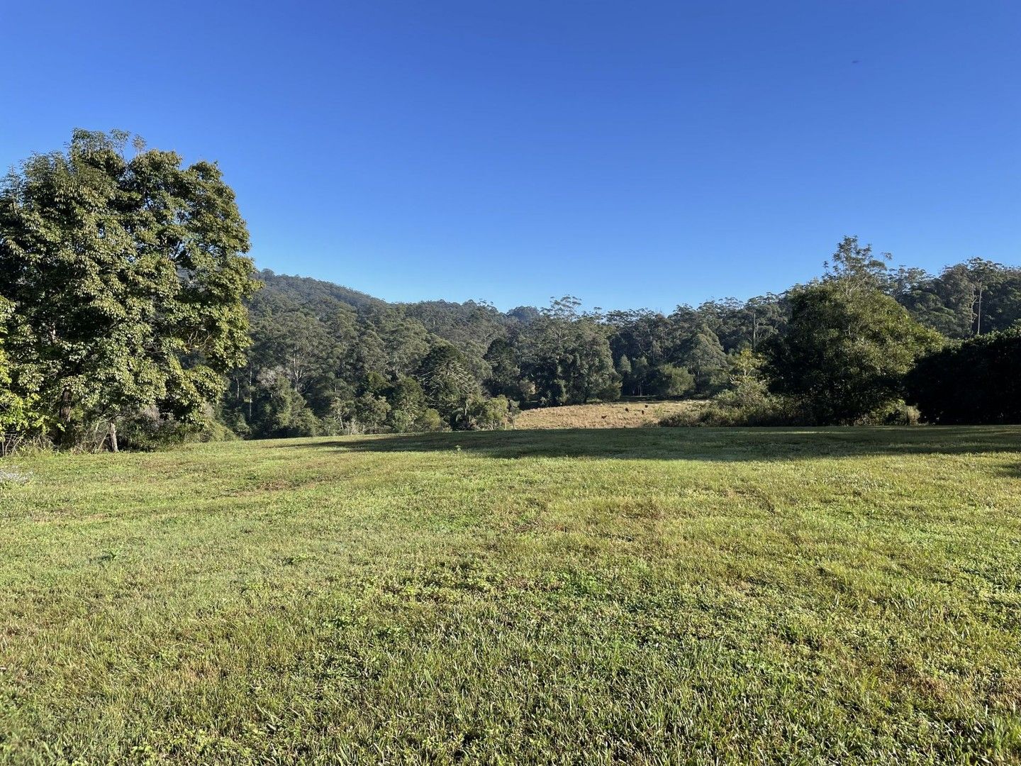 Lot 2 Ekert Road, Curramore QLD 4552, Image 0