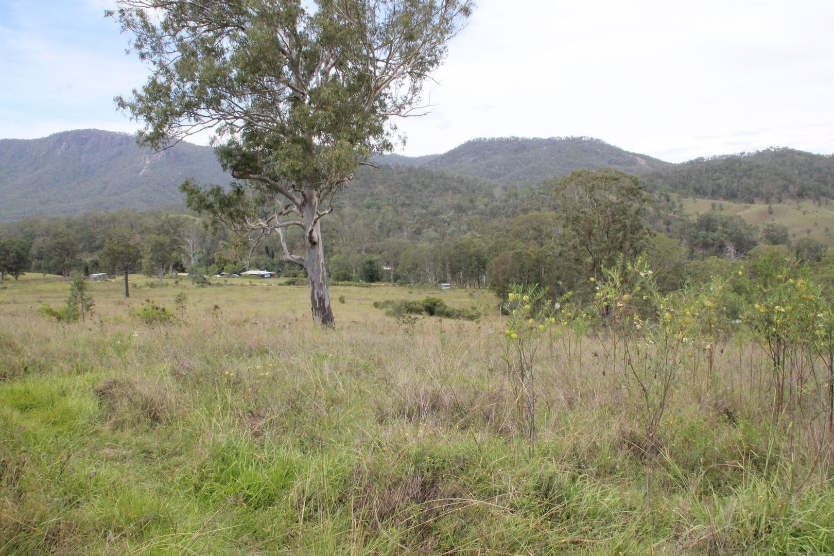 198 Lower Rocky River Road, Drake NSW 2469 House for Sale 1,050,000