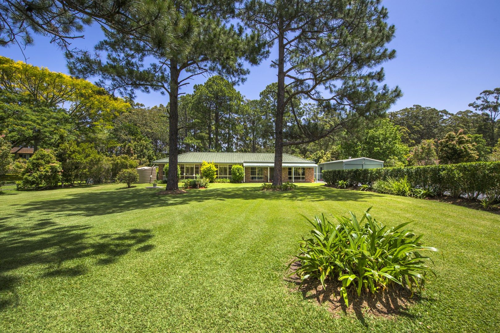 23 Shearer Drive, Woolgoolga NSW 2456, Image 0