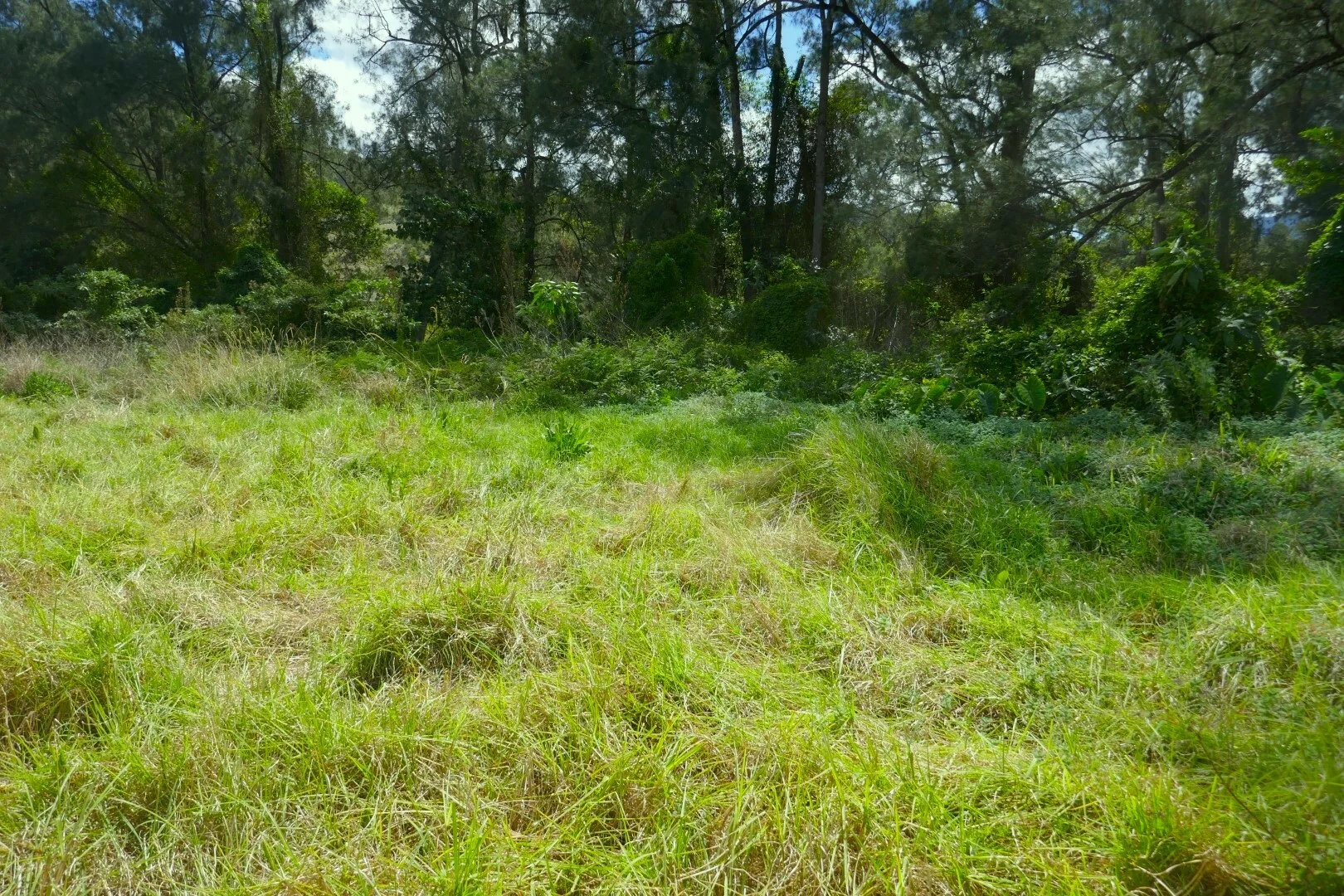 Image 9