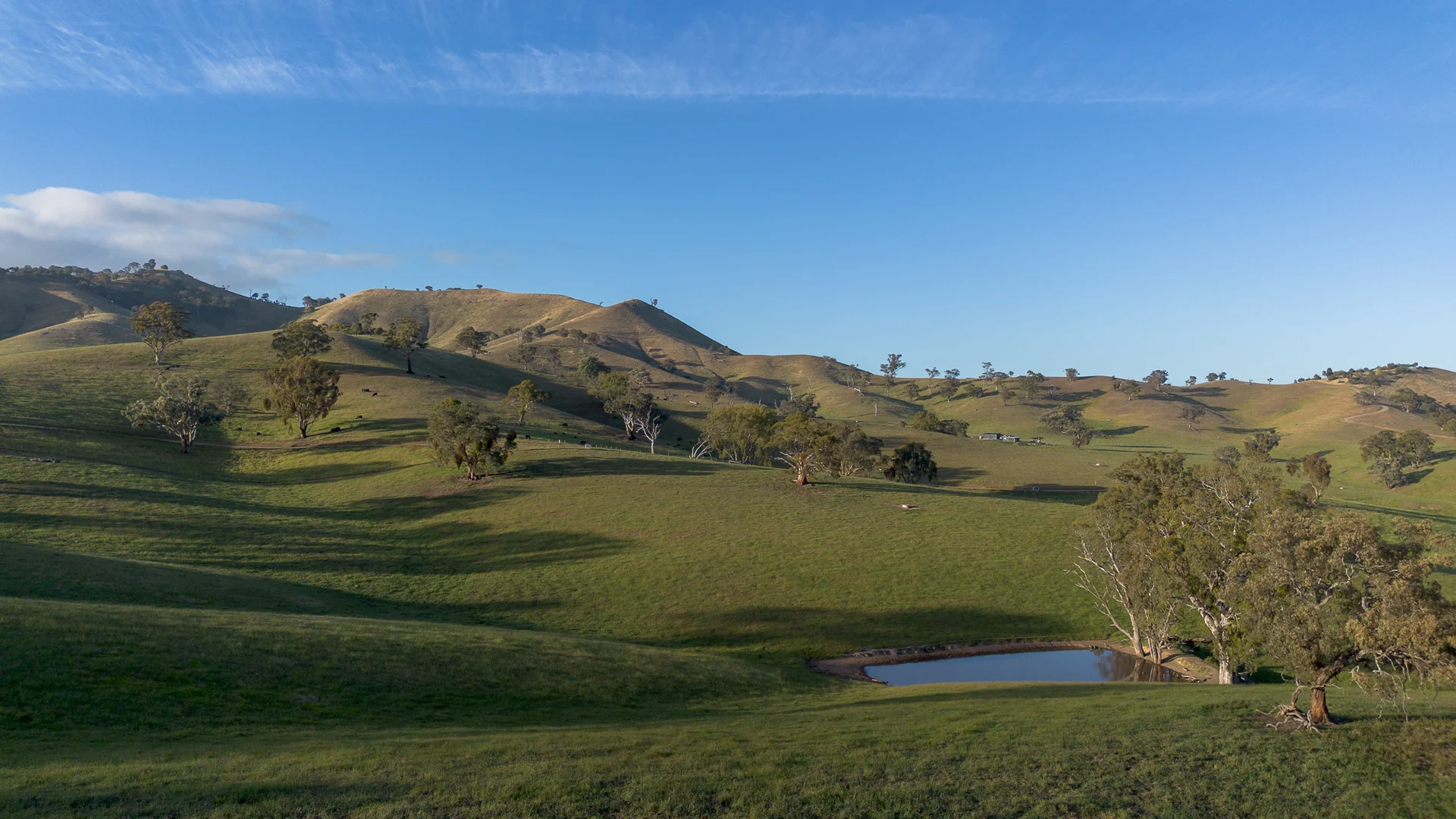 Additional image 44 of 1599 Whanregarwen Road, Molesworth VIC 3718