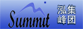 Summit International Investment Group's logo
