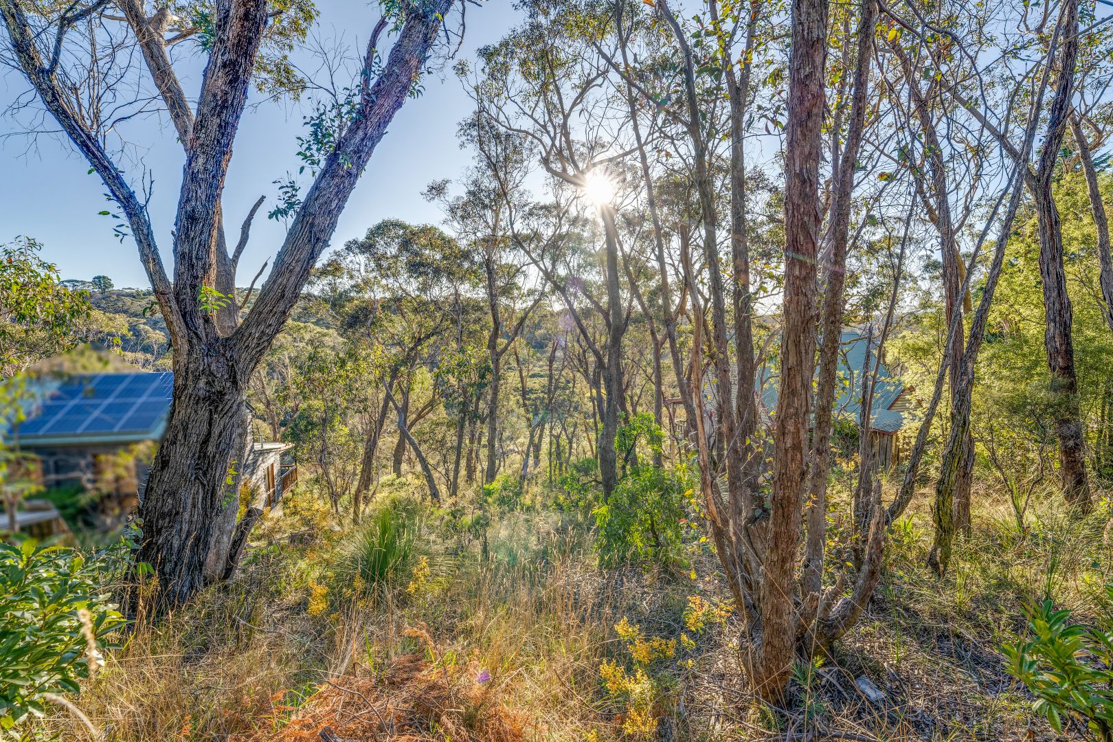 42 First Avenue, Katoomba NSW 2780, Image 2