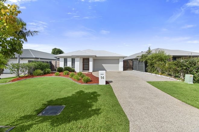 Picture of 14 Pamphlet Lane, COOMERA QLD 4209