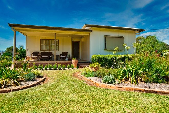 Picture of 33 PINE STREET, CURLEWIS NSW 2381