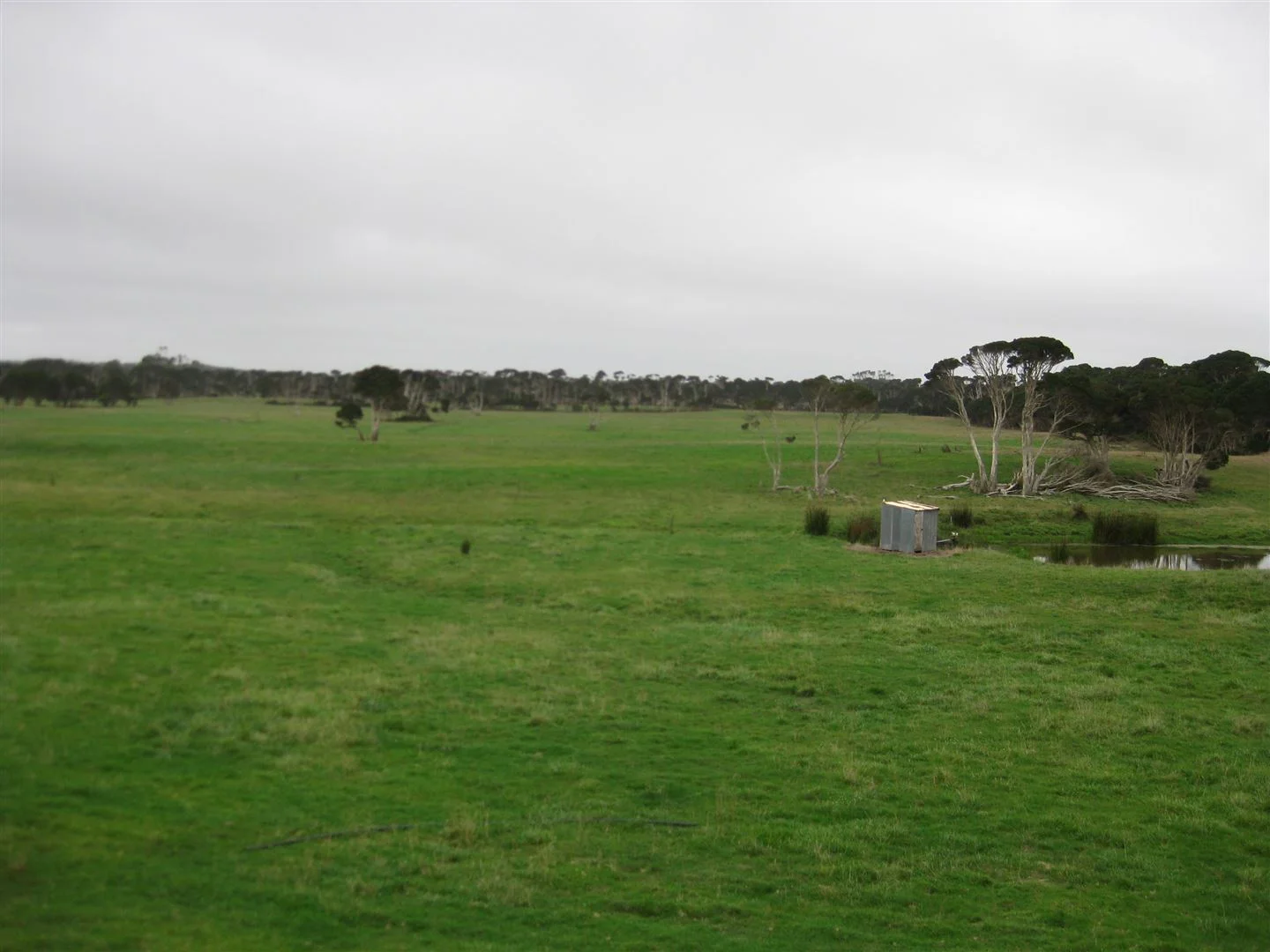 Image 13