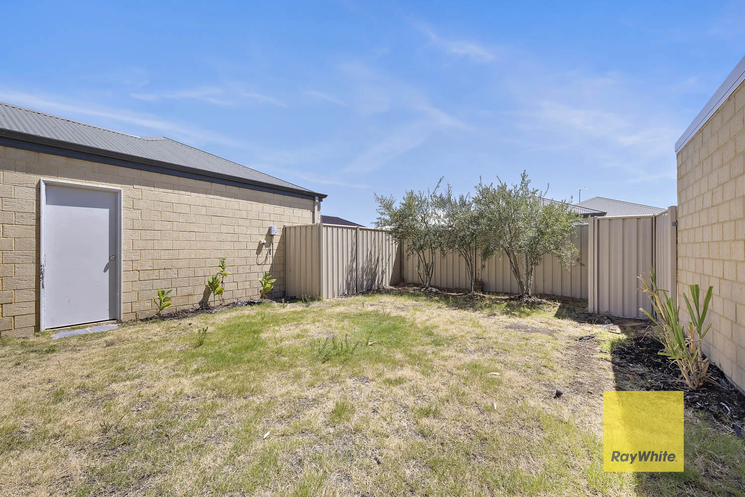 Image 15