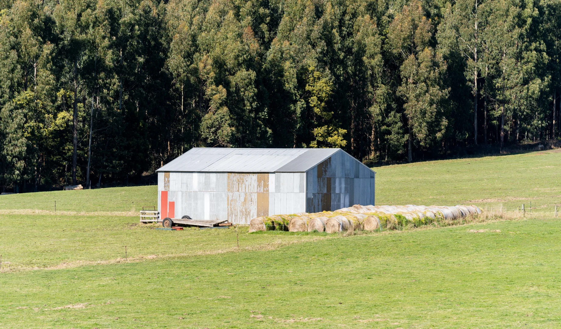 Image 13