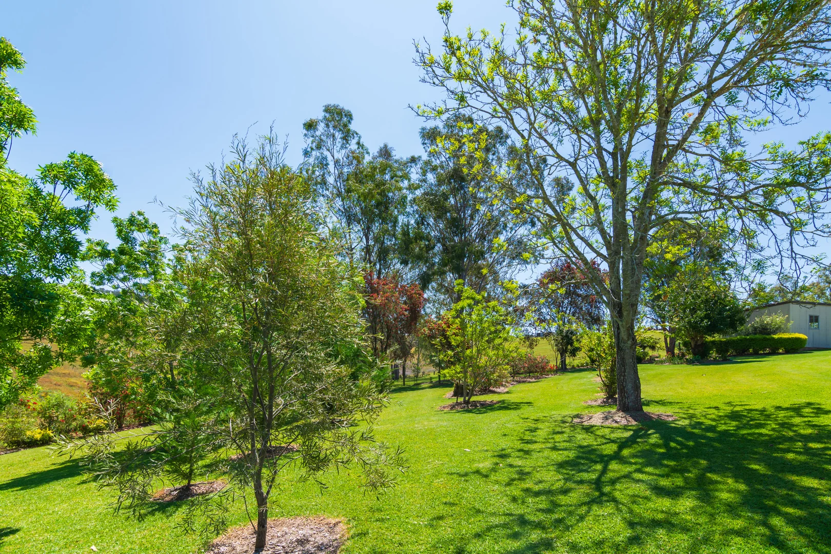 Additional image 37 of 302 Scone Road, Gloucester NSW 2422
