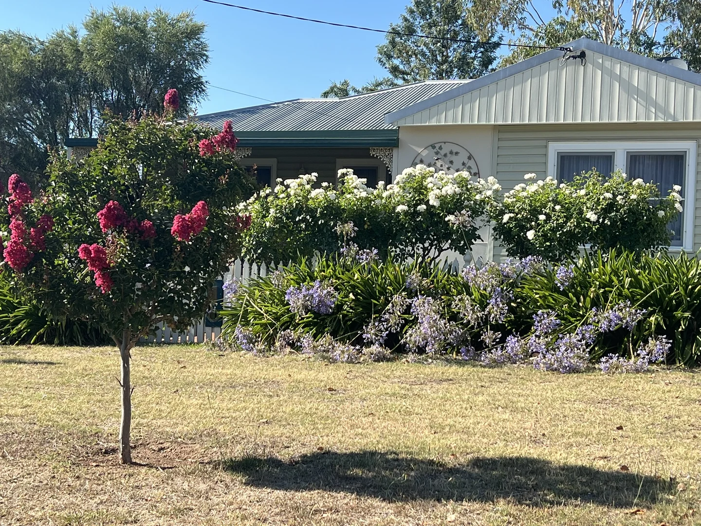 Image 19