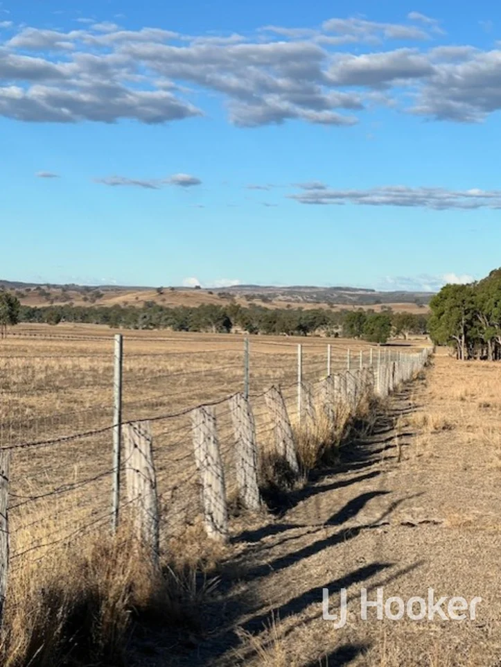 Additional image 17 of 296 Limestone Road, Inverell NSW 2360