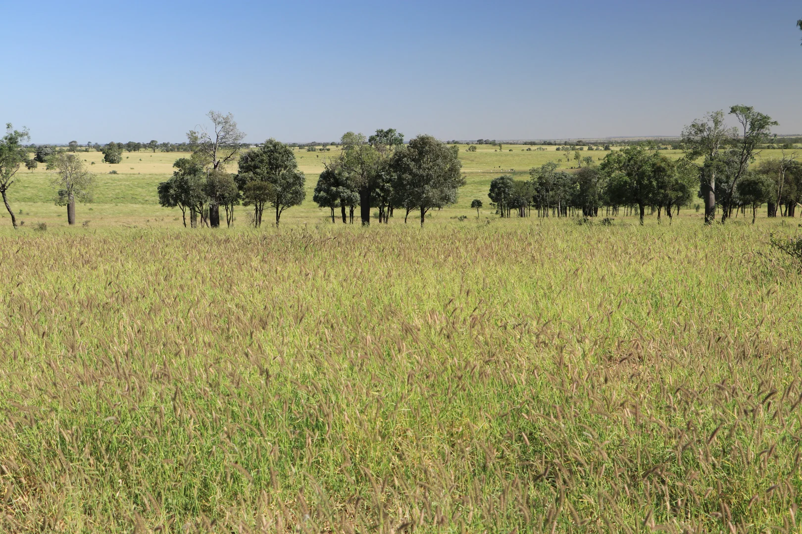 Additional image 13 of Roma QLD 4455