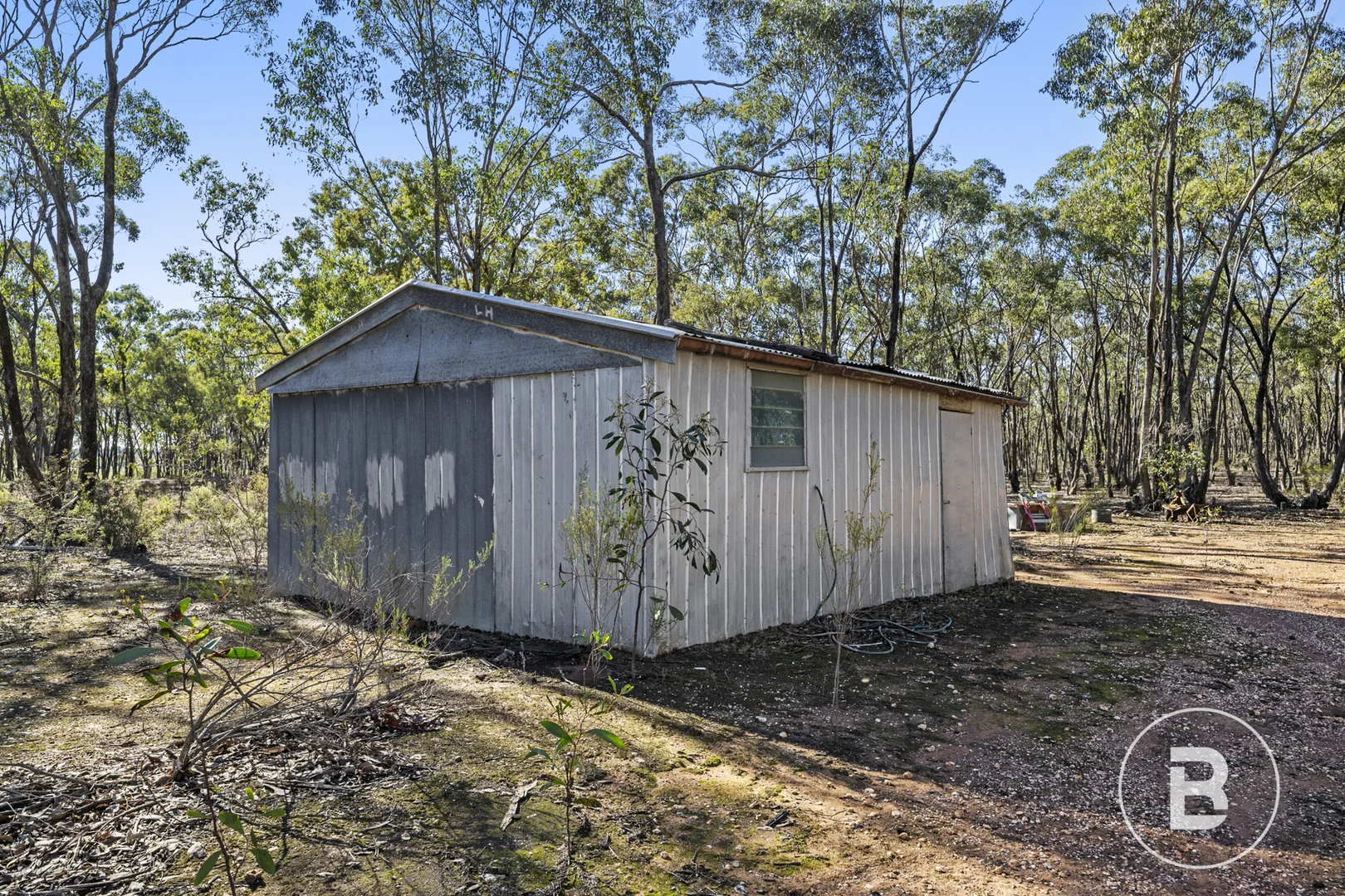 Image 11