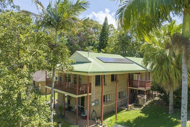 Picture of 14 Matong Dr, OCEAN SHORES NSW 2483