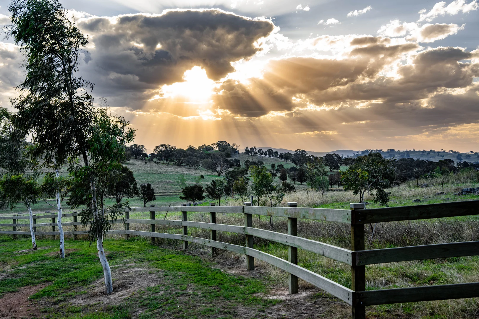 Additional image 20 of "Savannah Springs" 294 Rolfe Road, Wallaroo NSW 2618