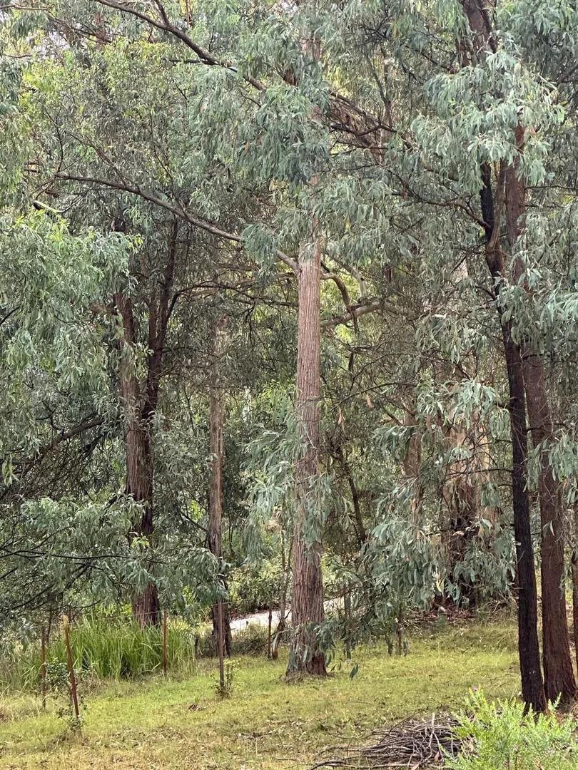 Additional image 33 of 151 Coxs River Road, Little Hartley NSW 2790