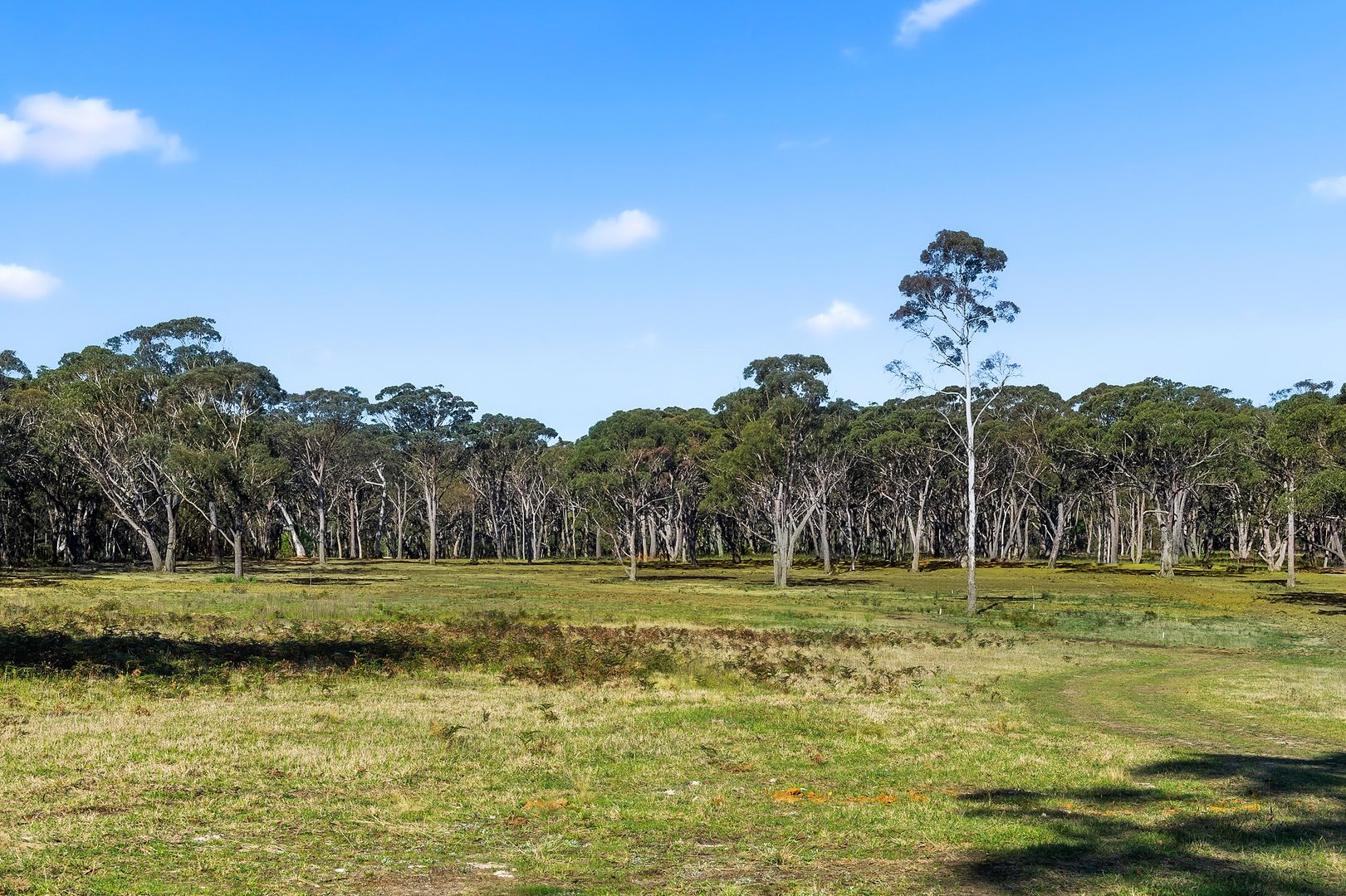 44 Nandi Road, Wingello NSW 2579 House for Sale Domain