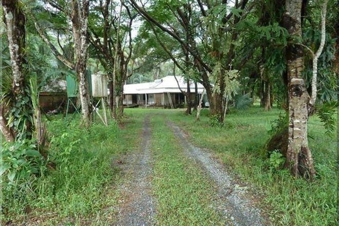 Picture of 123 Thornton Peak Drive, DAINTREE QLD 4873