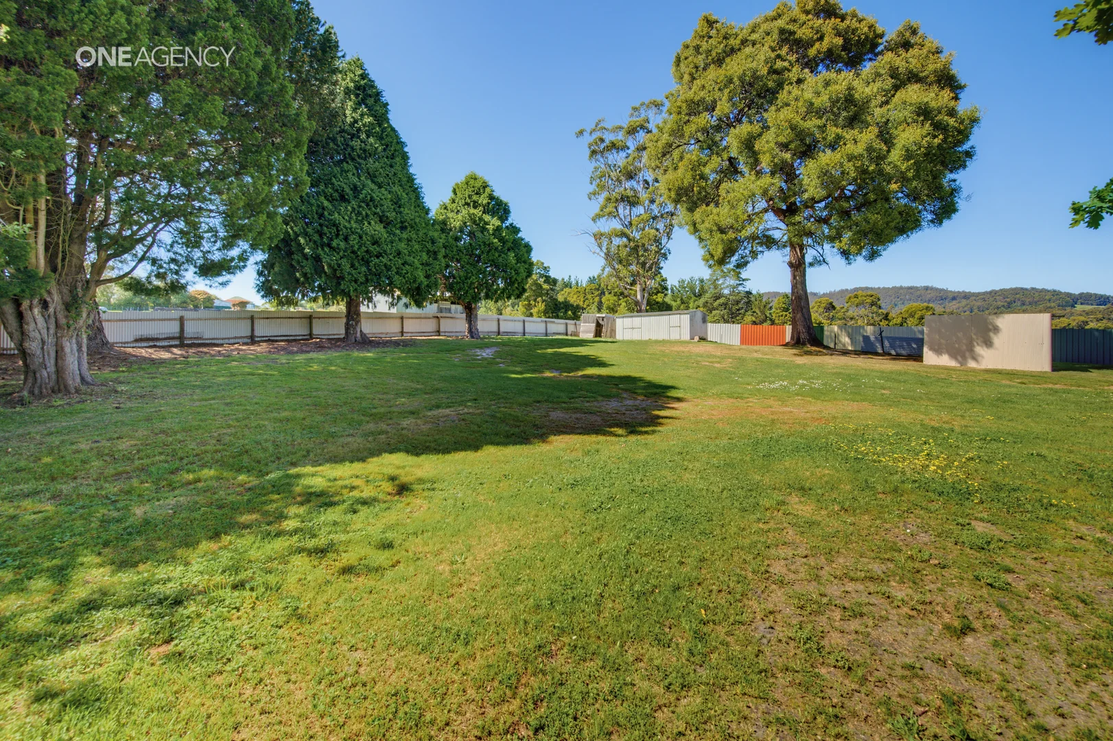 209 Sheffield Road, Spreyton TAS 7310 | Domain