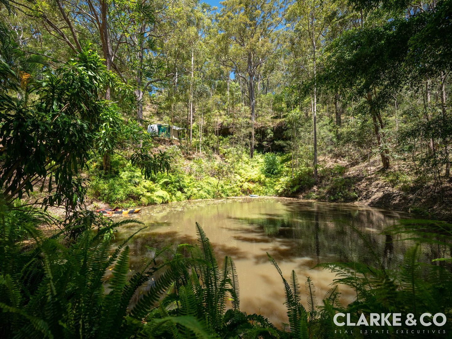 329 Mooloolah Road, Eudlo QLD 4554 House for Sale Domain