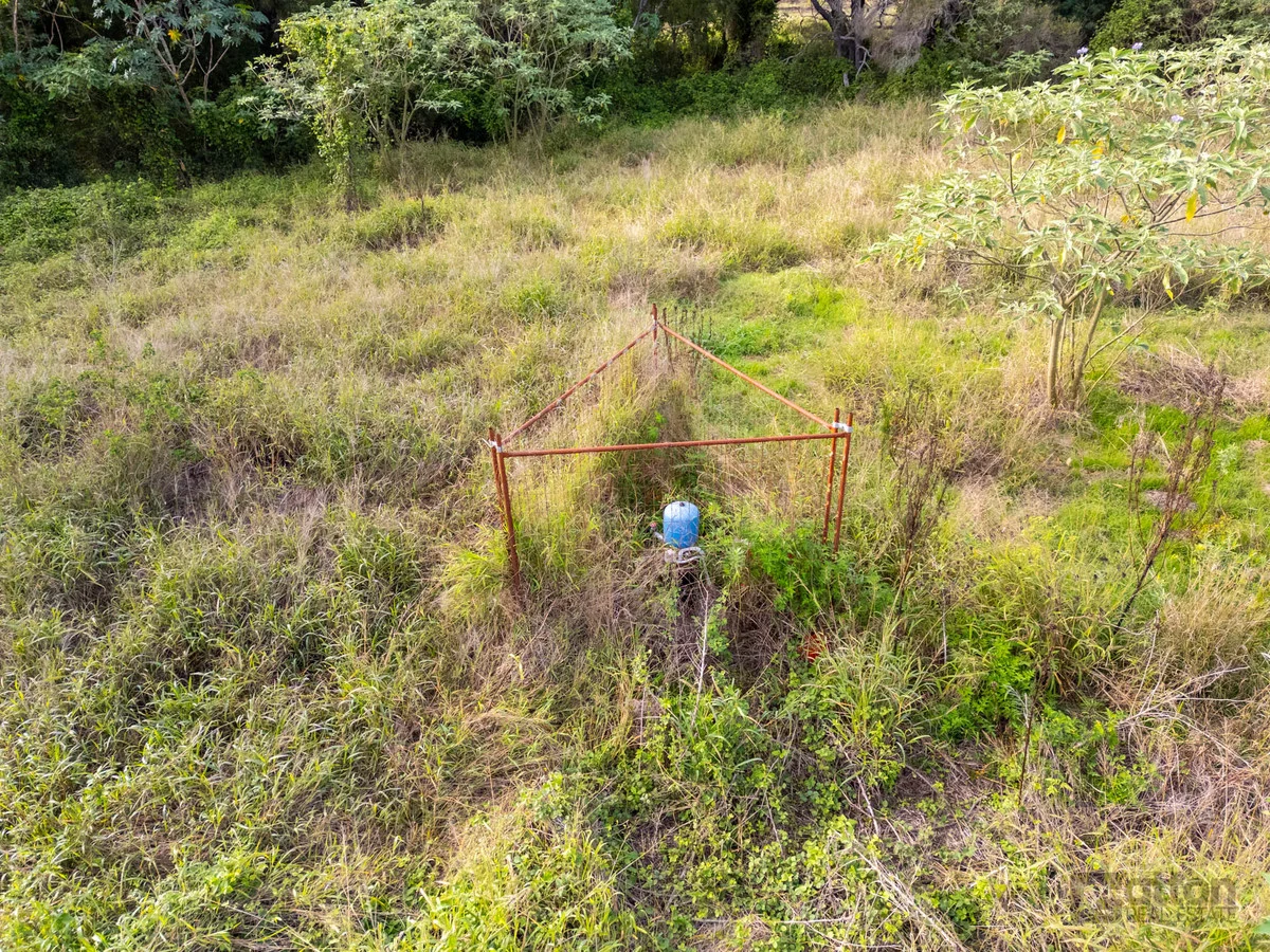 Image 48