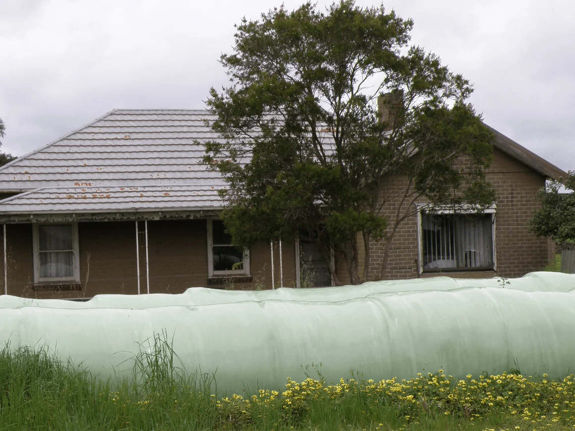 Image 9