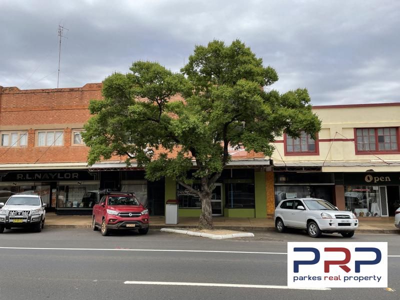 6668 Caswell Street, Peak Hill NSW 2869 Domain