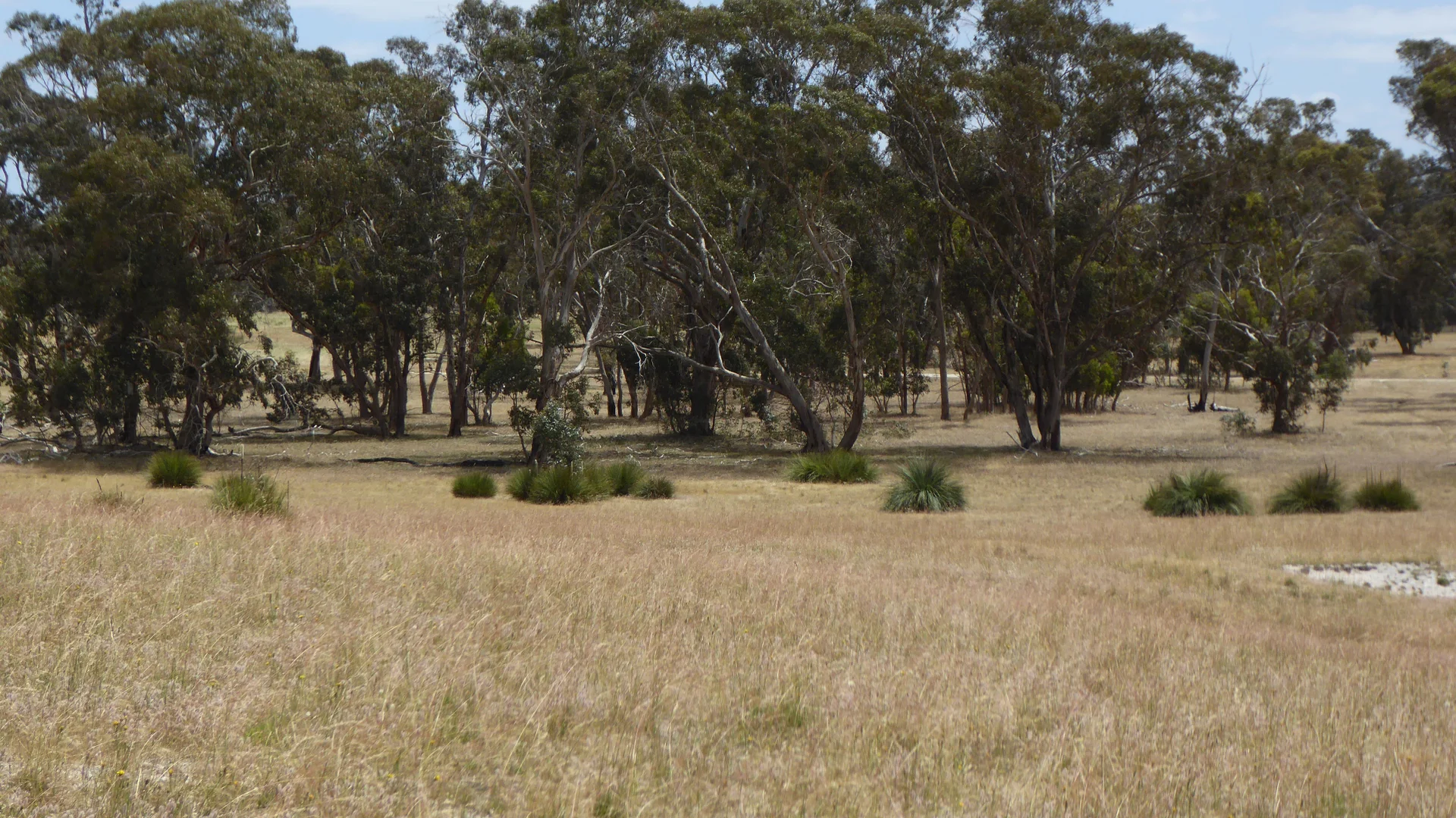 Image 17