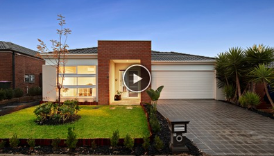 Picture of 38 Chicory Street, MERNDA VIC 3754