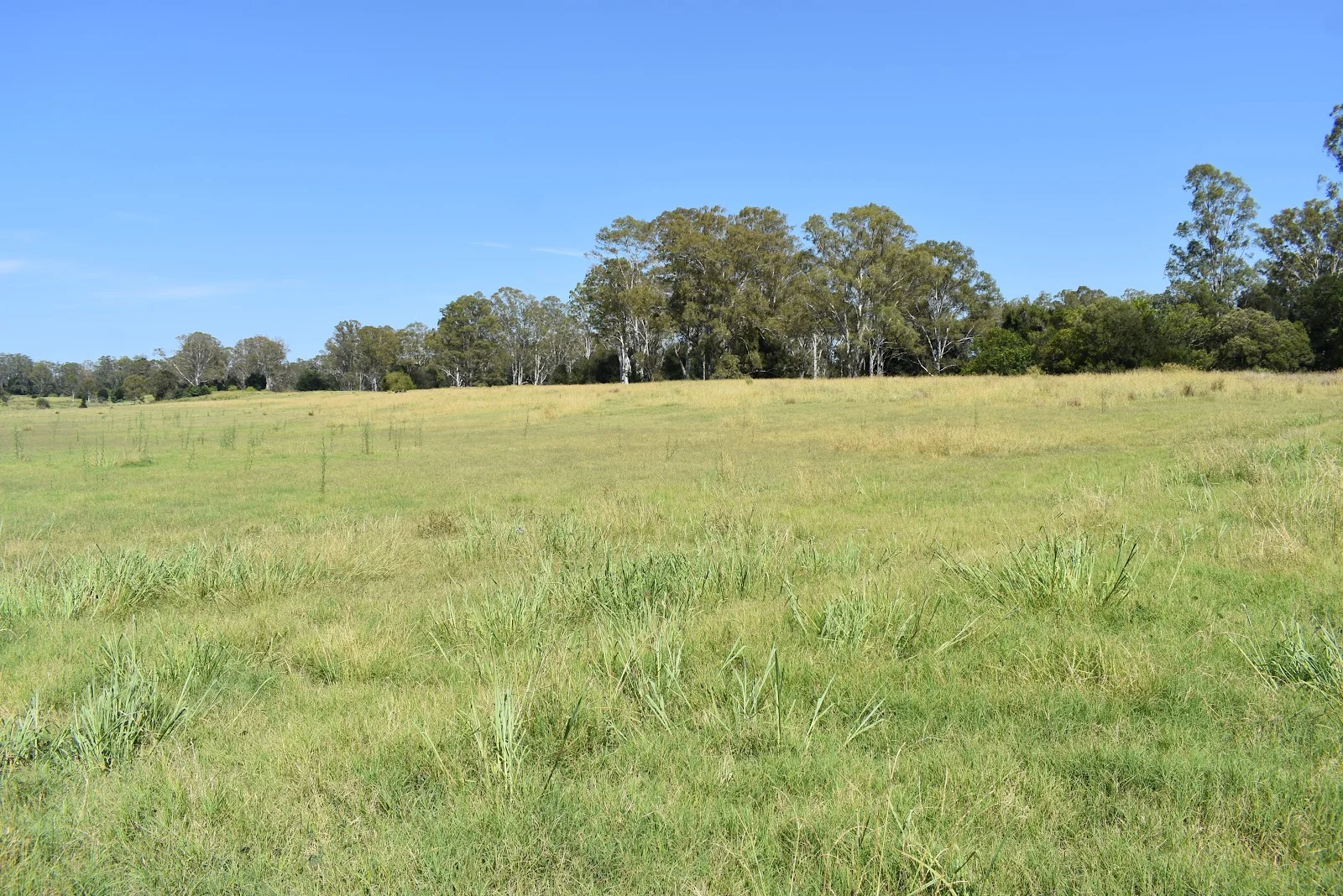 Additional image 7 of lot 103 Pidgeons Road, Tiaro QLD 4650
