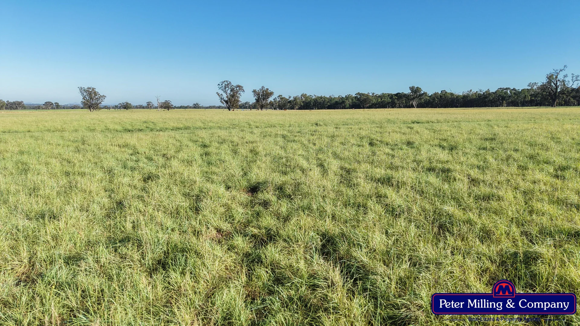 Additional image 10 of 59 Piambra Road, Binnaway NSW 2395