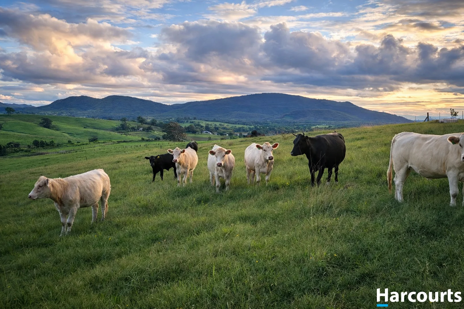 Additional image 4 of 2654 Glendonbrook Road, Gresford NSW 2311