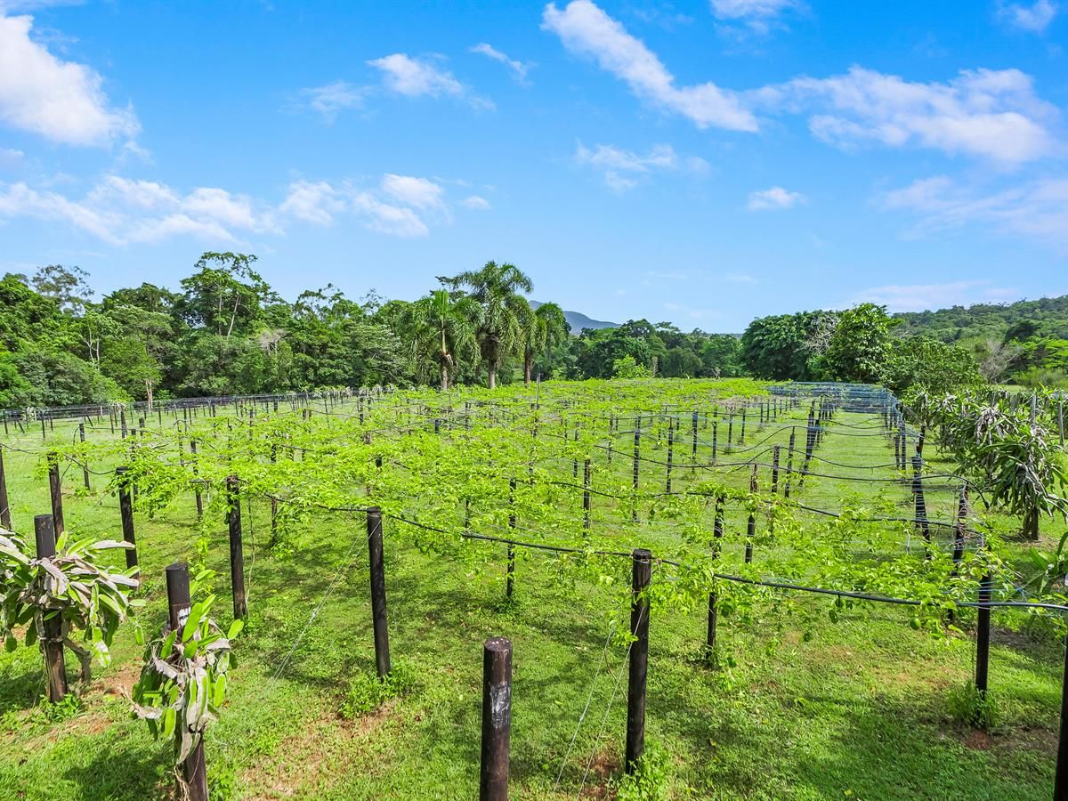 1496 BRAMSTON BEACH ROAD, Bramston Beach QLD 4871 House for Sale