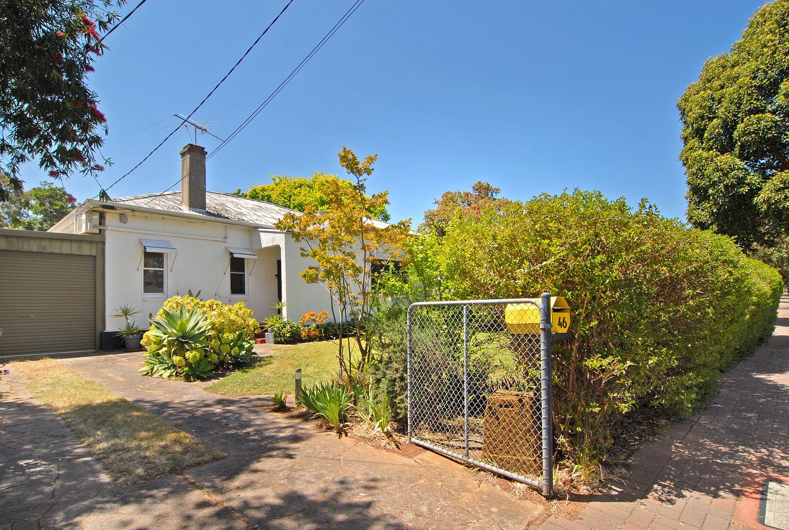 46 Barnes Avenue, Magill SA 5072 House For Rent 525 Domain