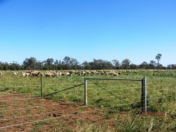 * Denroy, Cobar NSW 2835, Image 0