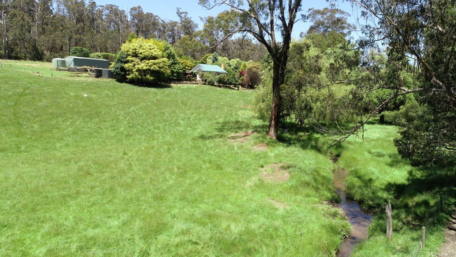 2650 STRZELECKI HIGHWAY, Mirboo North VIC 3871, Image 0