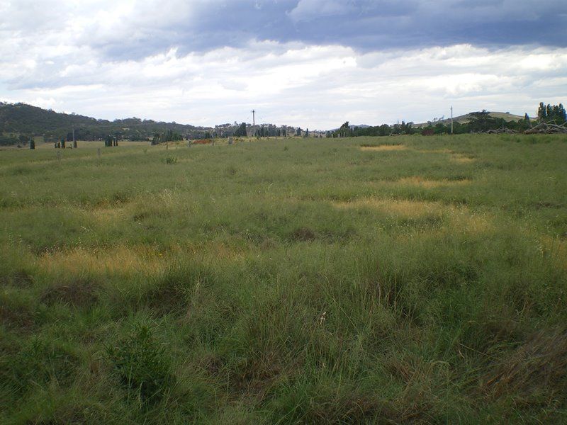 Lot 4 Monaro Highway, Bredbo NSW 2626, Image 0